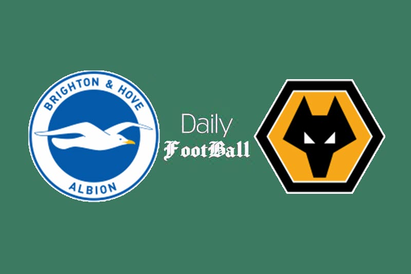 پخش زنده فوتبال| پخش زنده بازی برایتون و ولورهمپتون امشب شنبه 13 دی 99