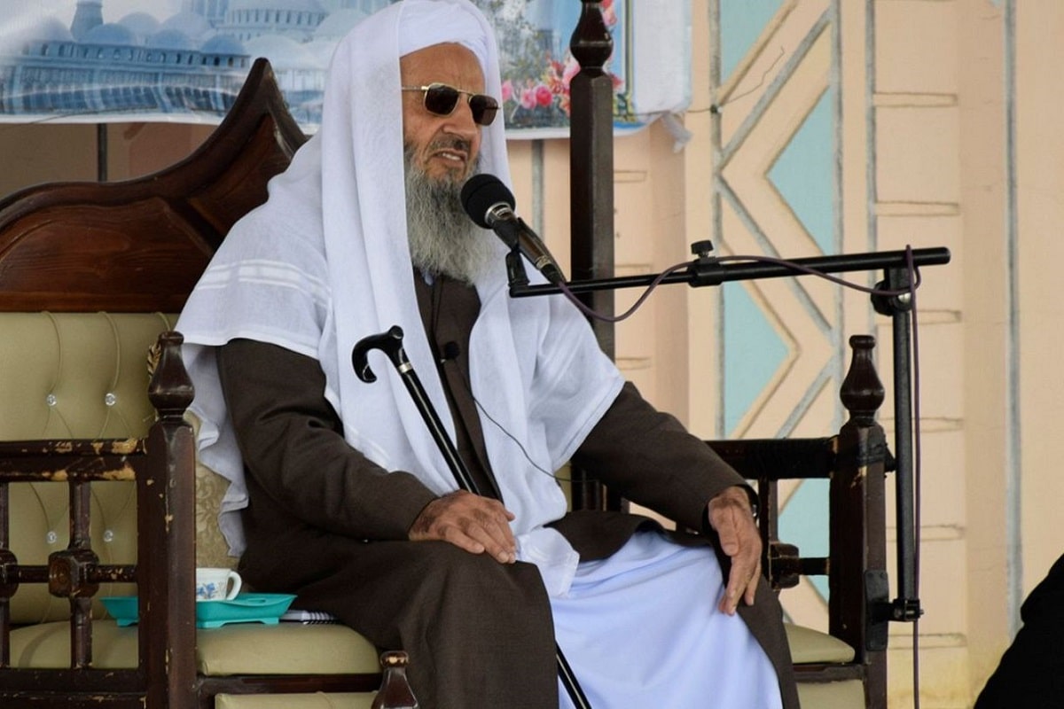 فیلم| نون و پنیر و همدم؛ شعرخوانی درباره شوهر برای دختربچه ها در صداوسیما