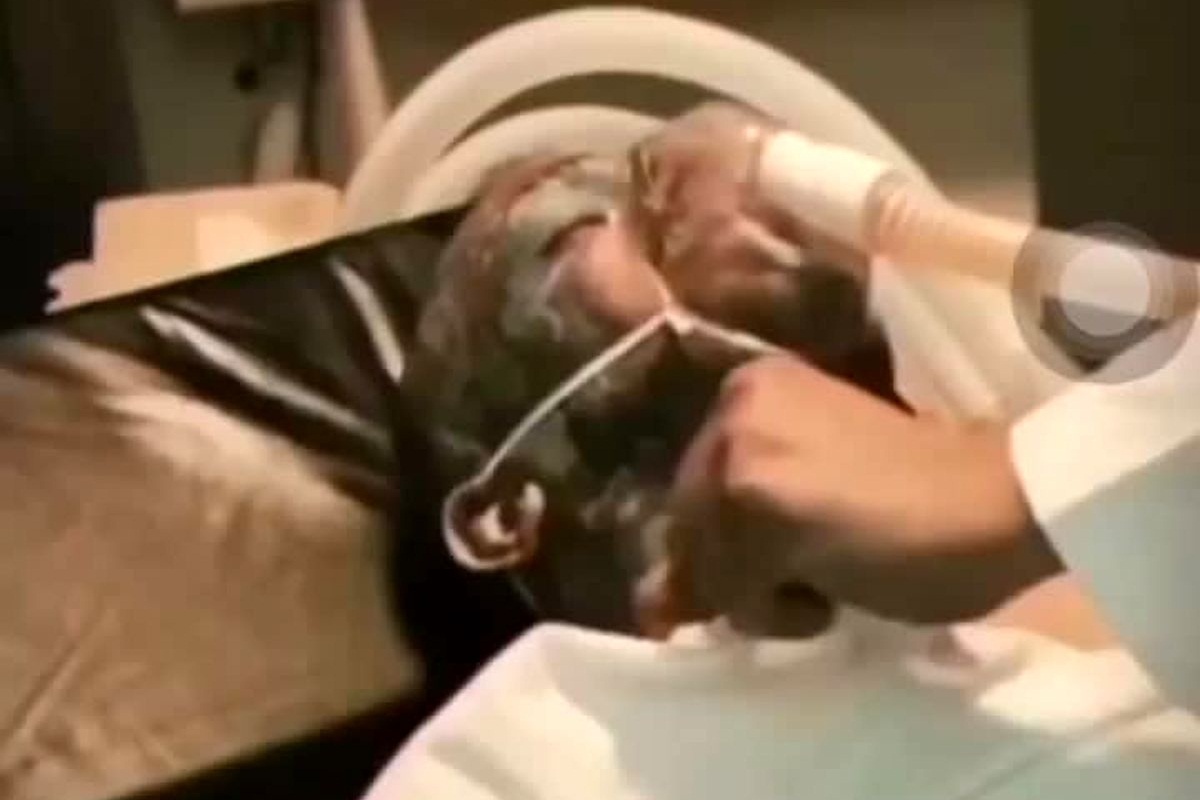 کتک خوردن سحر قریشی از تتلو به خاطر بی حجابی