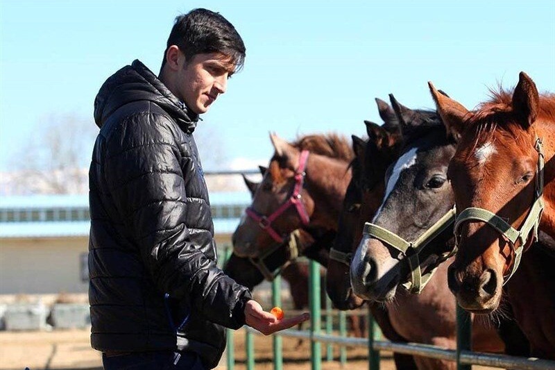 عکس| اسب 15 میلیاردی سردار آزمون قهرمان مسابقات سوارکاری استرالیا شد