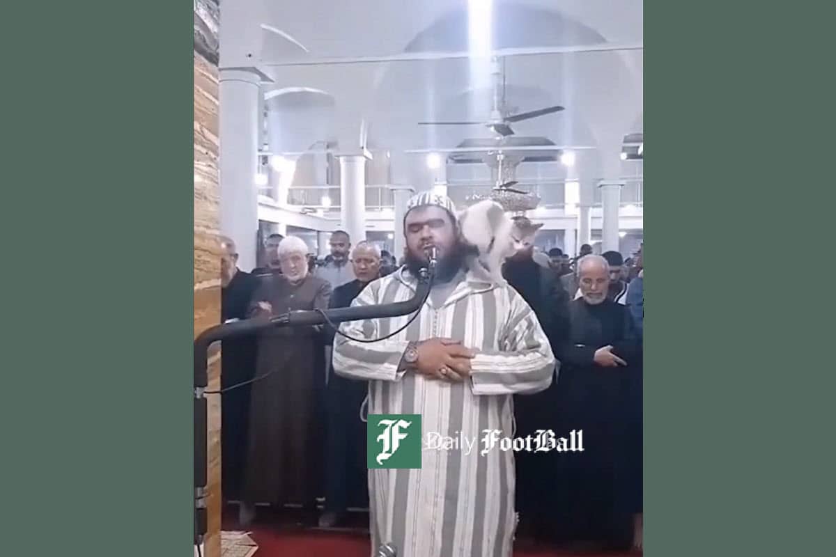 فیلم| مدعیان شعار زن زندگی آزادی در آرزوی چند شوهری