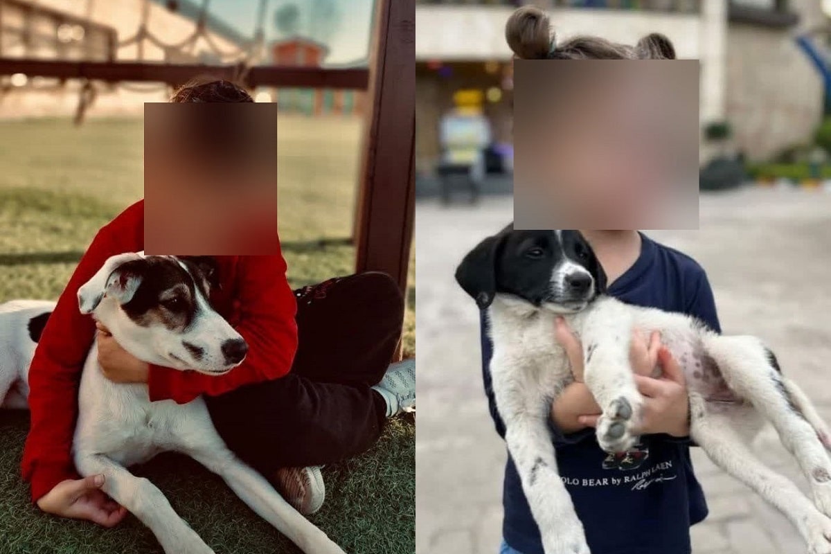 فیلم| هنجارشکنی رامین رضاییان در جایگاه بانوان ورزشگاه آزادی