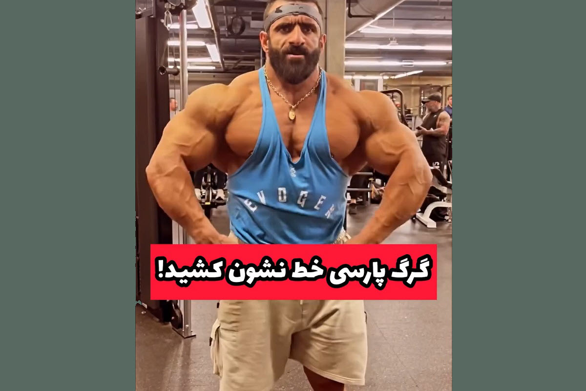 فیلم| حافظ خوانی علی کریمی در شب یلدا