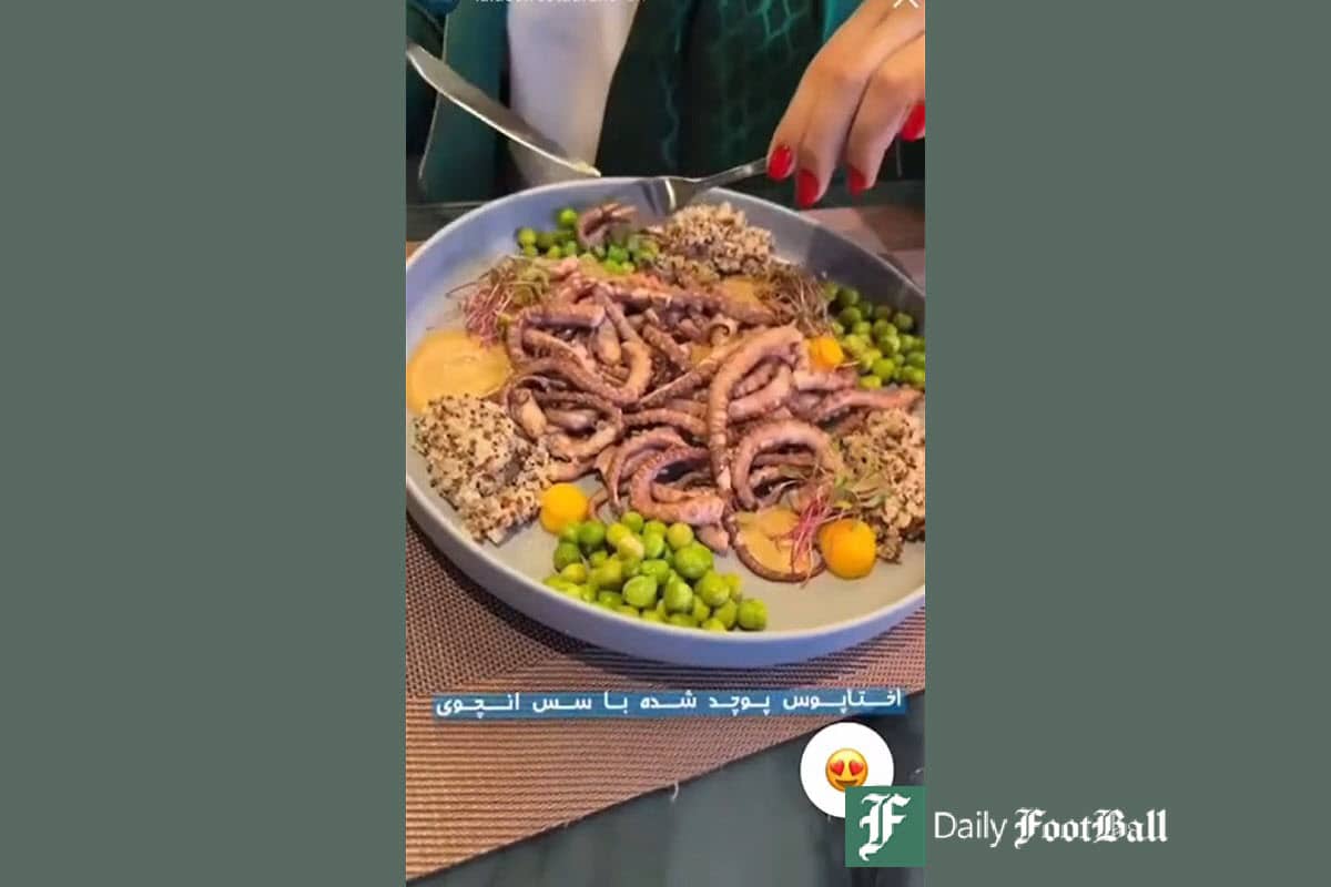 فیلم| افشاگری از تلاش معاون رئیسی برای آزاد کردن وریا غفوری از زندان