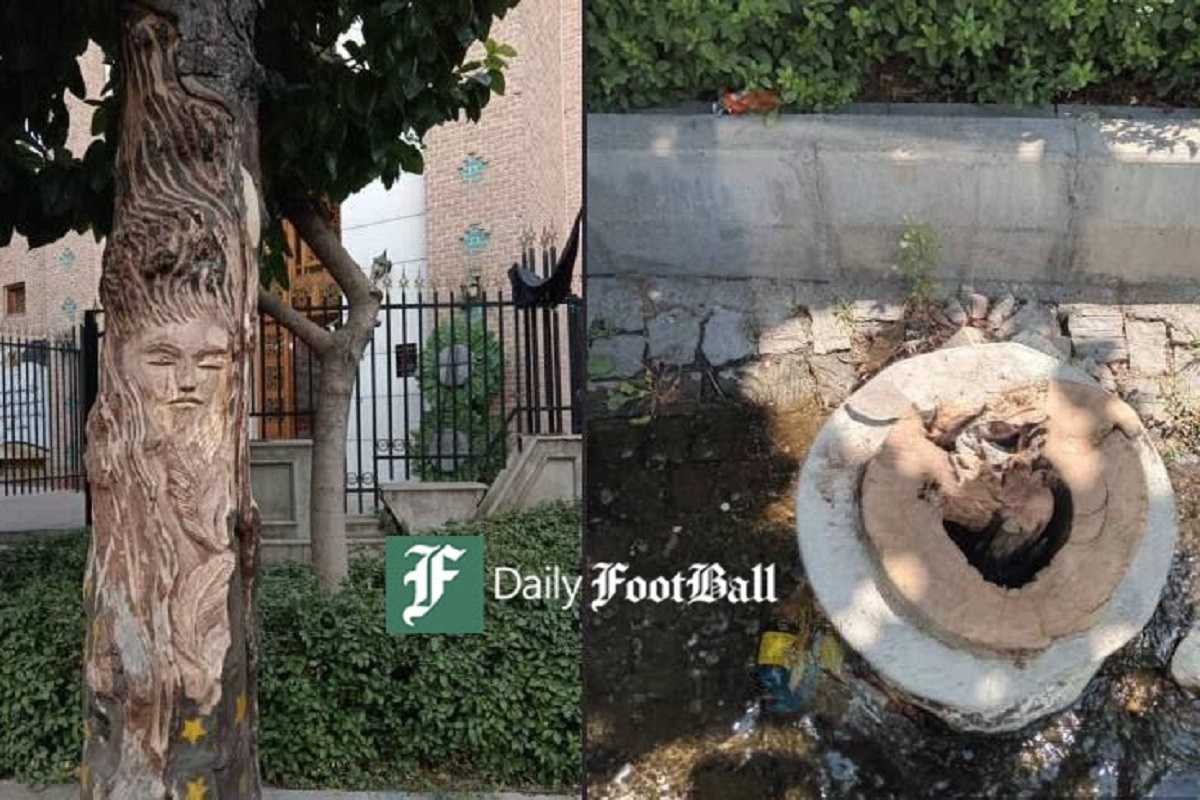 فیلم| ترویج حرام خواری در ایران؛ سرو لابستر در رستوران های لاکچری تهران