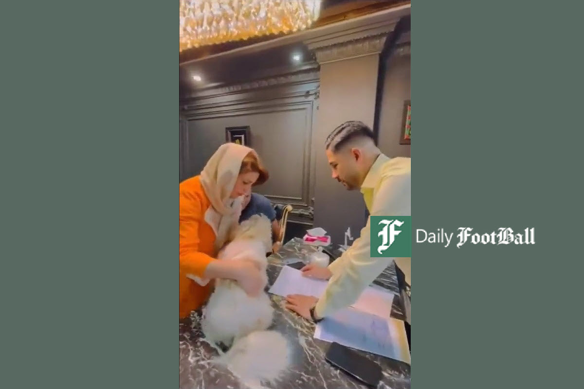 فیلم| اولین شاهکار جواد خیابانی در مافیا