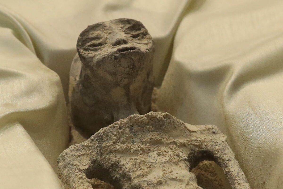 فیلم| فایل صوتی لو رفته مسعود بهنود: رضا پهلوی اندازه یک گاو نمی فهمد!