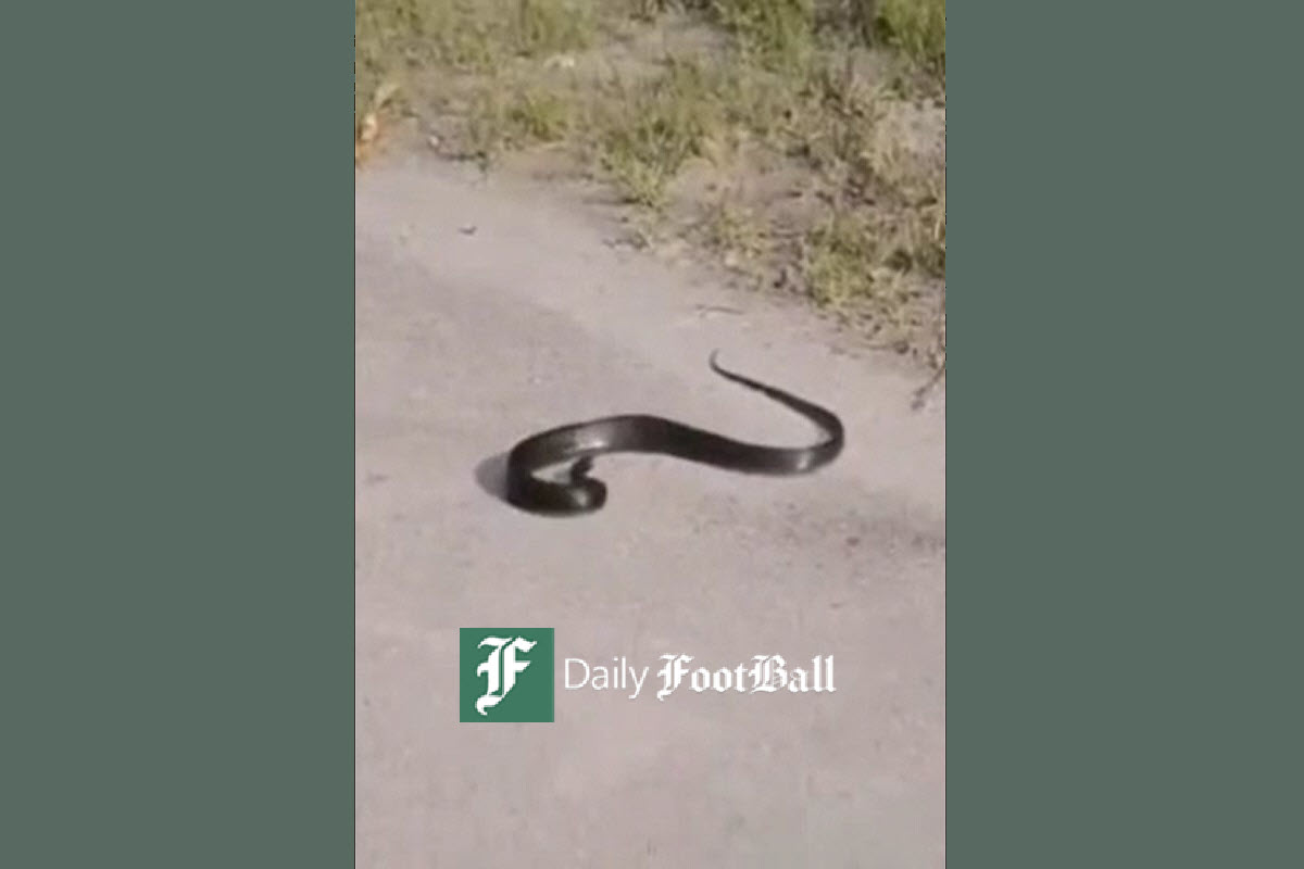 عکس| احمد ایراندوست بادیگارد رونالدو و نیمار در ایران