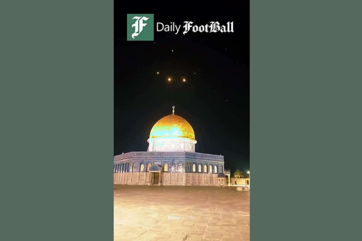 عکس| علی کریمی در سوراخ موش!