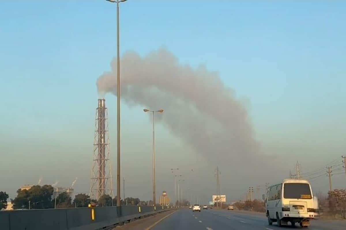 فیلم| گاوصندوق به این میگن!