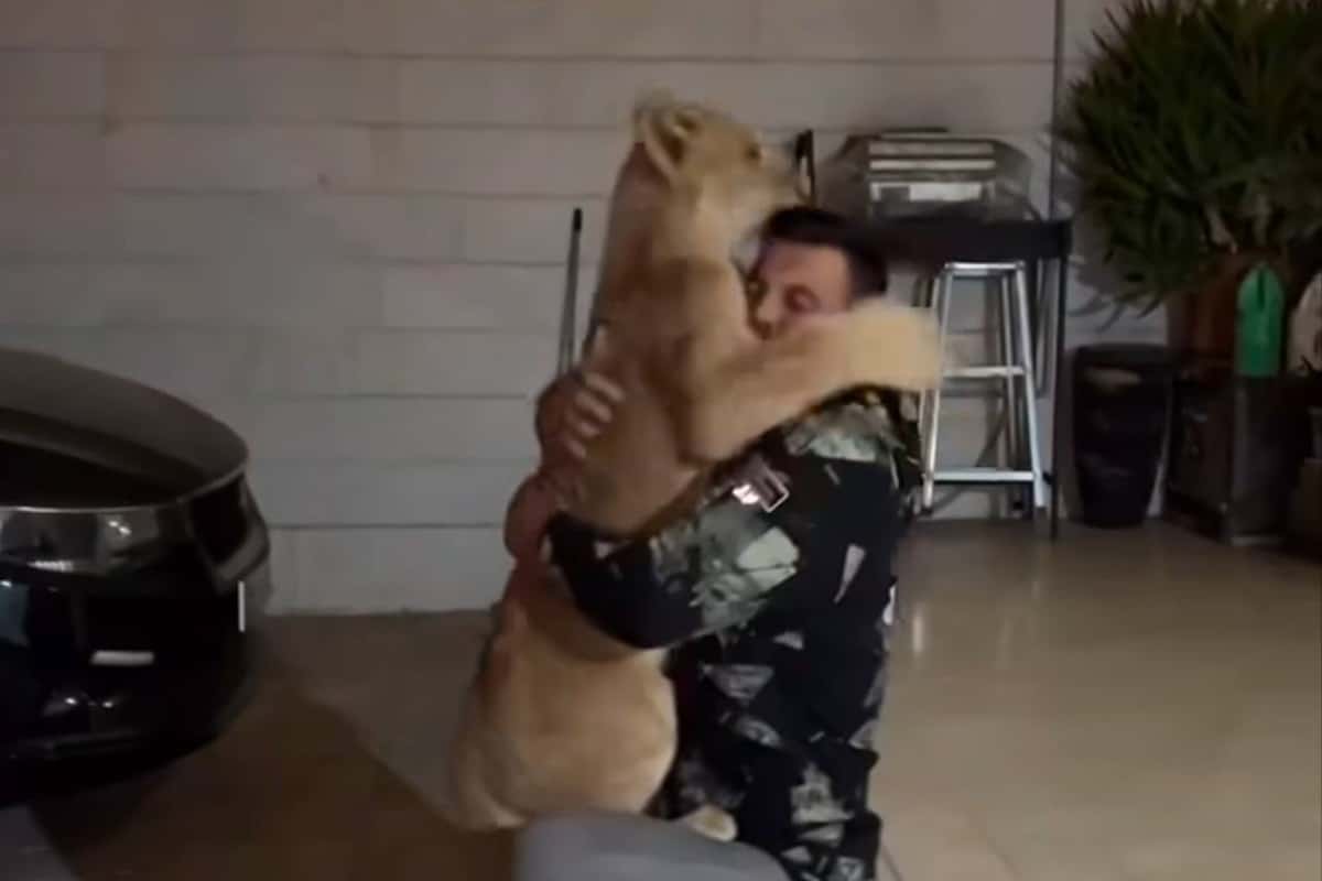 فیلم| اولین تصاویر از داخل هواپیمای جمهوری آذربایجان هنگام سقوط