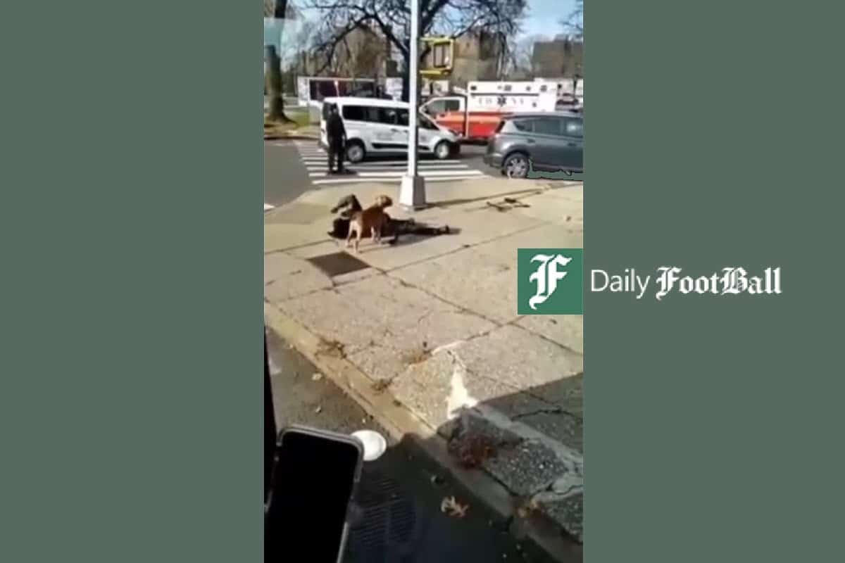فیلم| هنجارشکنی بلاگر زن در چغازنبیل؛ مسئولان میراث فرهنگی در خواب غفلت