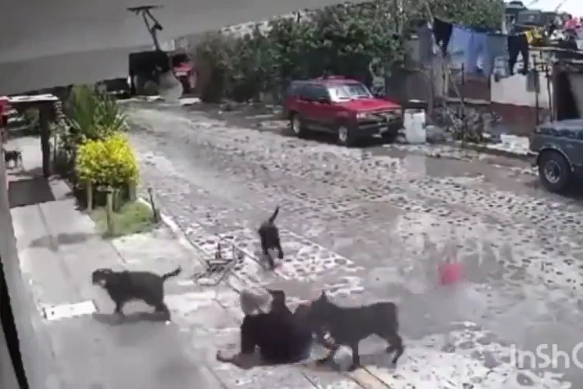 فیلم| وعده سعید جلیلی برای رفع فیلتر اینستاگرام و توییتر