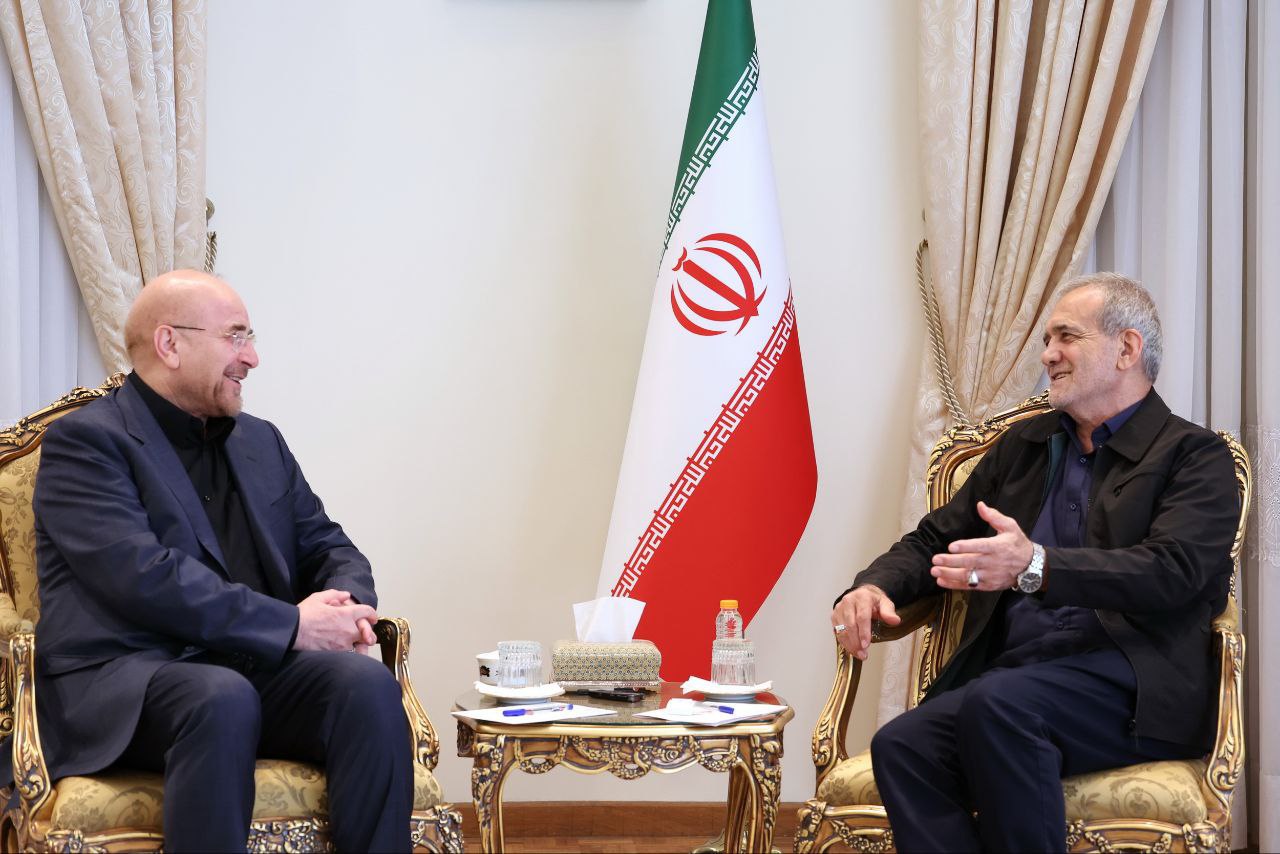 عکس| صفحه توضیحات شناسنامه مسعود پزشکیان و فامیلی قبلی آقای رئیس جمهور