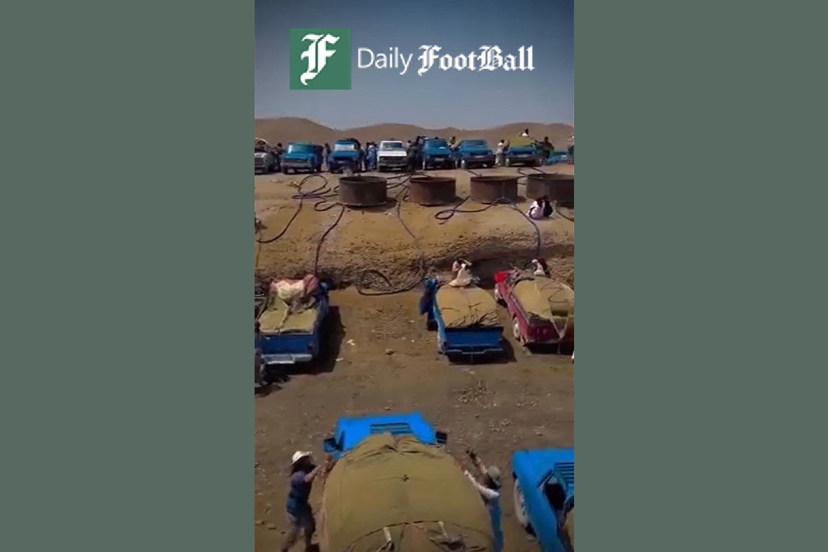 فیلم| واکنش توهین آمیز یک افغانی به اجرای طرح اخراج اتباع غیرمجاز از ایران