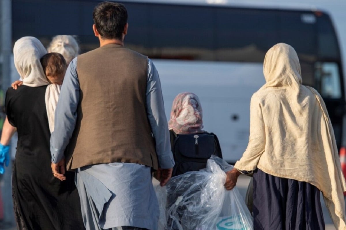 فیلم| درگیری خیابانی محمدحسین کنعانی زادگان در کرج