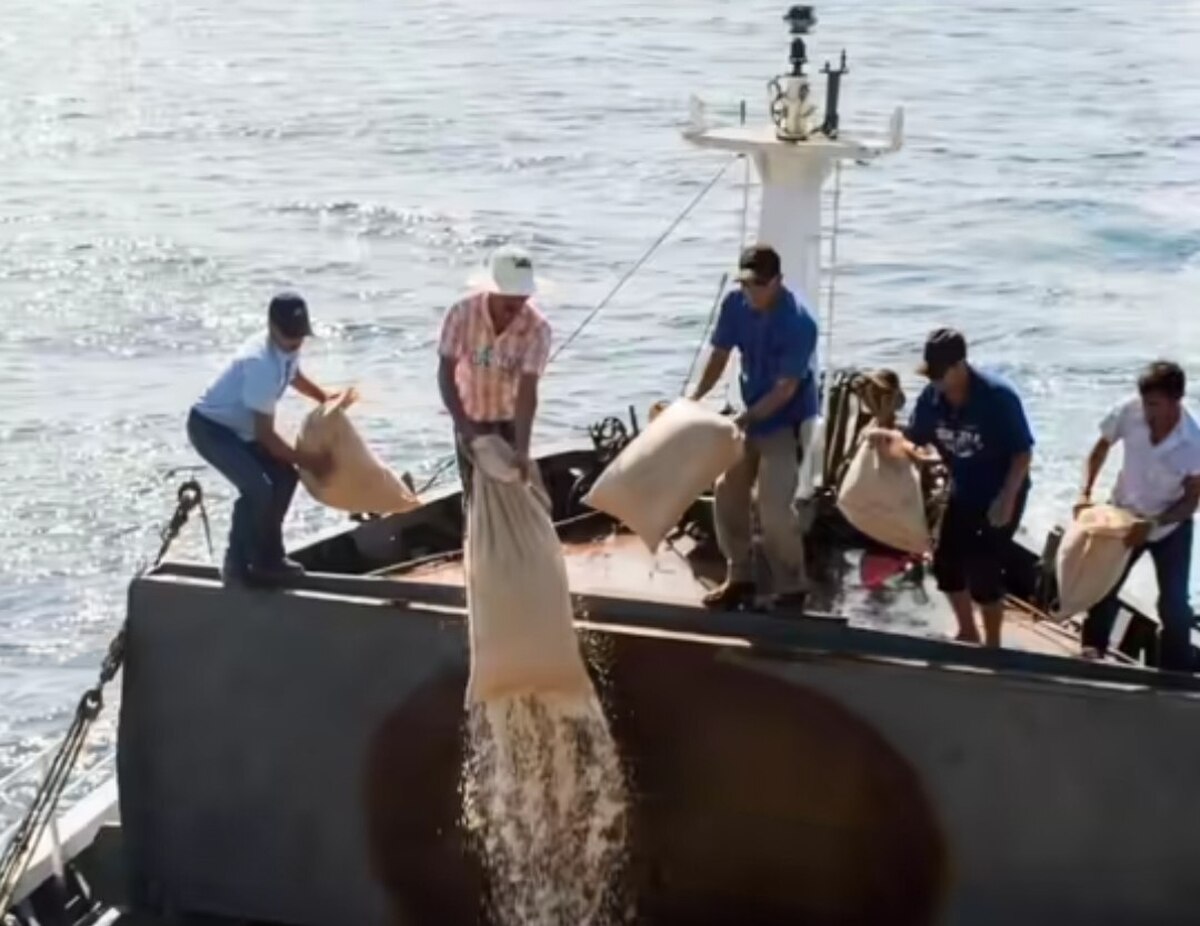 قیمت سکه امروز دوشنبه 8 دی 1404؛ افزایش یا کاهش؟