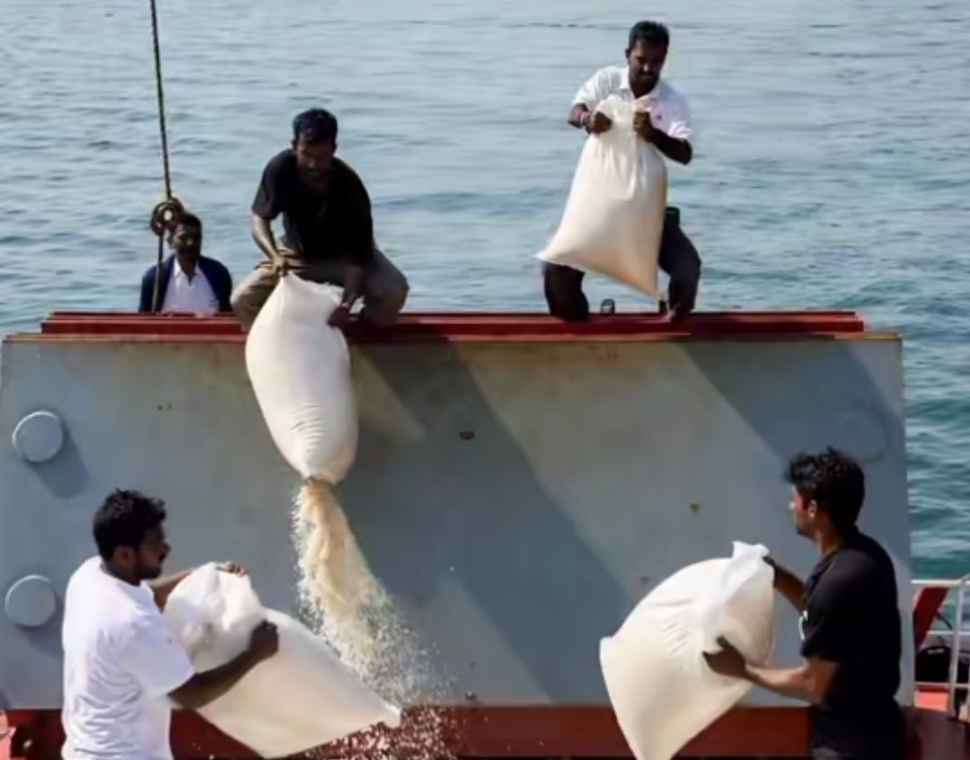 عکس| ریختن برنج در دریا به دستور باندهای مافیایی