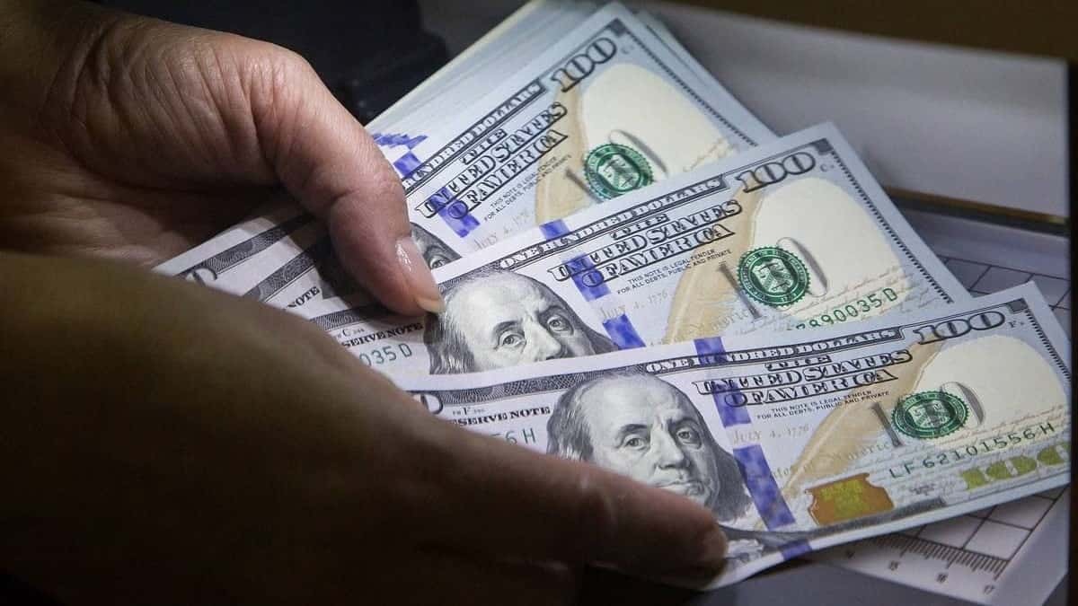 قیمت دلار امروز دوشنبه 24 آذر 1404؛ صعود یا سقوط؟ قیمت دلار امروز دوشنبه 24 آذر 1404؛ صعود یا سقوط؟