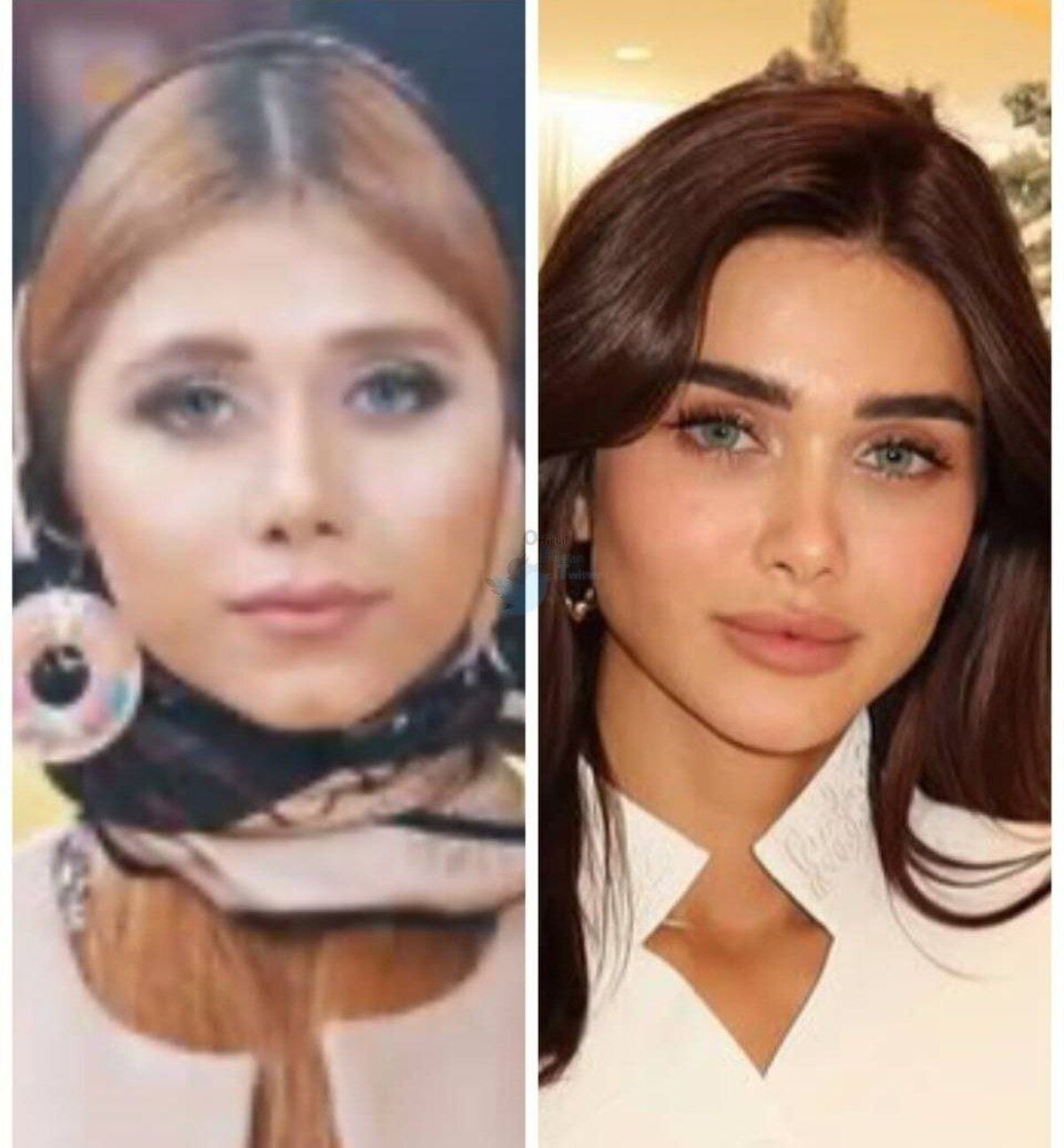 قیمت دلار امروز دوشنبه 8 دی 1404؛ صعود یا سقوط؟