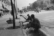 فیلم| واقعیت های تهران در دوران پهلوی