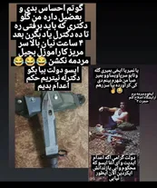 عکس| انگیزه قاتل «مسعود داوودی» پزشک یاسوجی مشخص شد