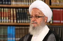 'فتوای آیت الله مکارم شیرازی درباره حکم شرعی بازی همستر کامبت'