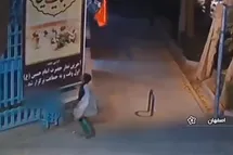 'فیلم| کودک کار اصفهانی به آرزویش رسید'