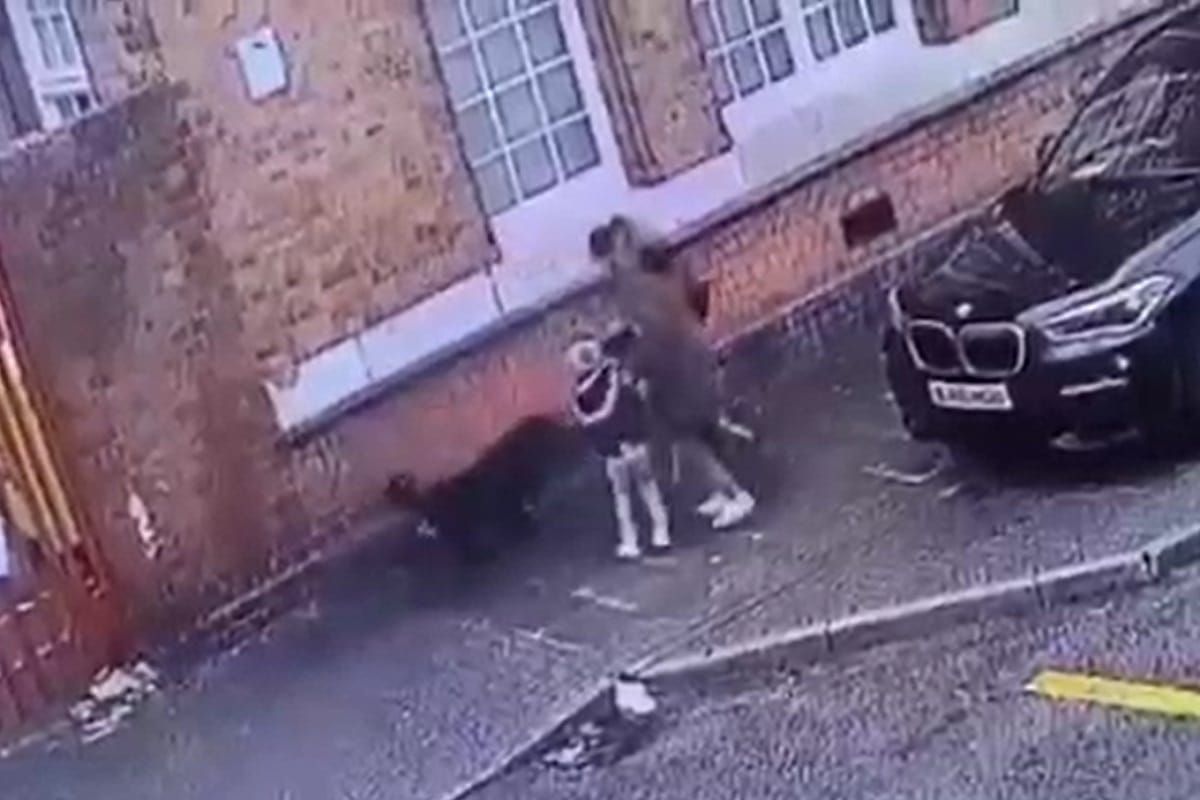 فیلم| حمله هولناک سگ وحشی به یک زن و فرزندان خردسالش در خیابان فیلم| حمله هولناک سگ وحشی به یک زن و فرزندان خردسالش در خیابان | دیلی فوتبال