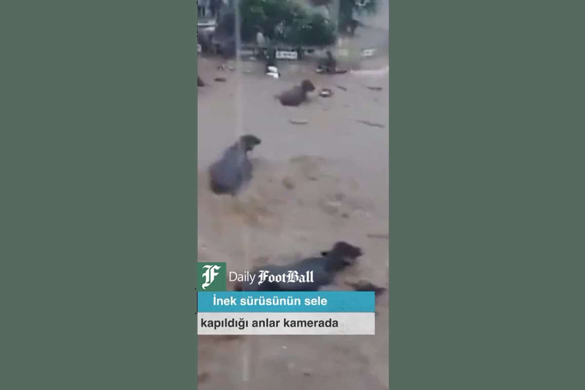 فیلم| قدرت سیل در هند | دیلی فوتبال