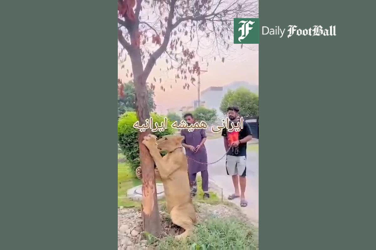 فیلم| پاسخ دندان شکن شیر ایرانی به توهین پیرمرد هندی به ایرانیان فیلم| پاسخ دندان شکن شیر ایرانی به توهین پیرمرد هندی به ایرانیان | دیلی فوتبال