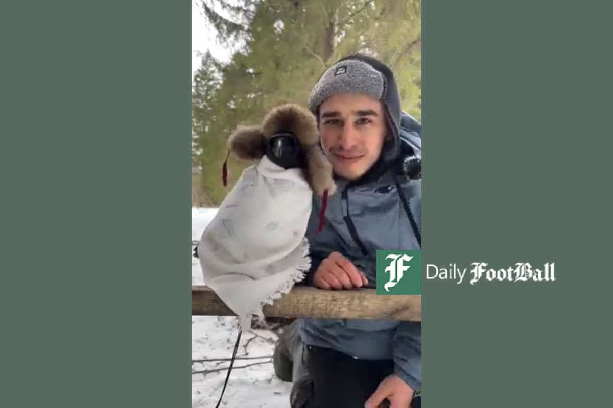 فیلم| مراقبت از غراب (بزرگترین کلاغ ایران) در برابر سرمای زمستان | دیلی فوتبال