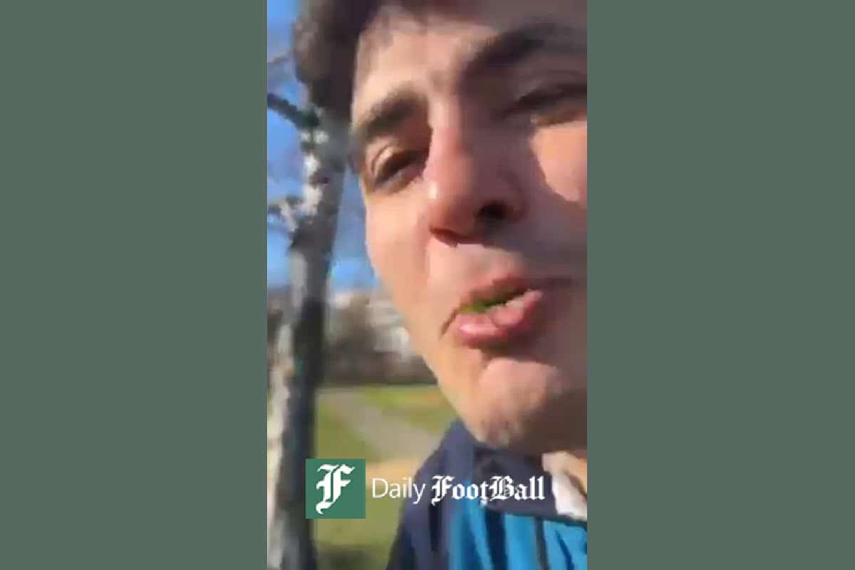 فیلم| دعوت بلاگر آذربایجانی به یونجه خواری مردم در پارک | دیلی فوتبال