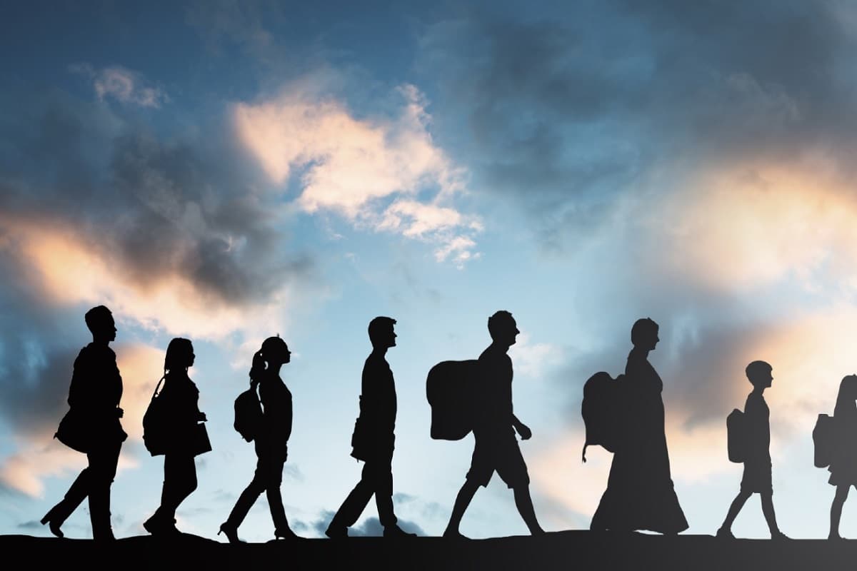 فیلم| از مهاجرت پشیمانیم، مثل سگ! | دیلی فوتبال