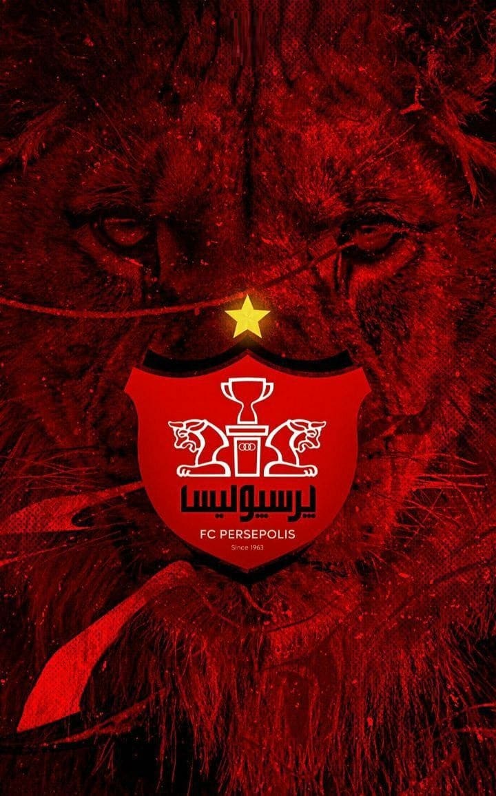 عکس پروفایل قهرمانی پرسپولیس؛ استوری هوادار پرسپولیسی برای اینستاگرام | دیلی فوتبال