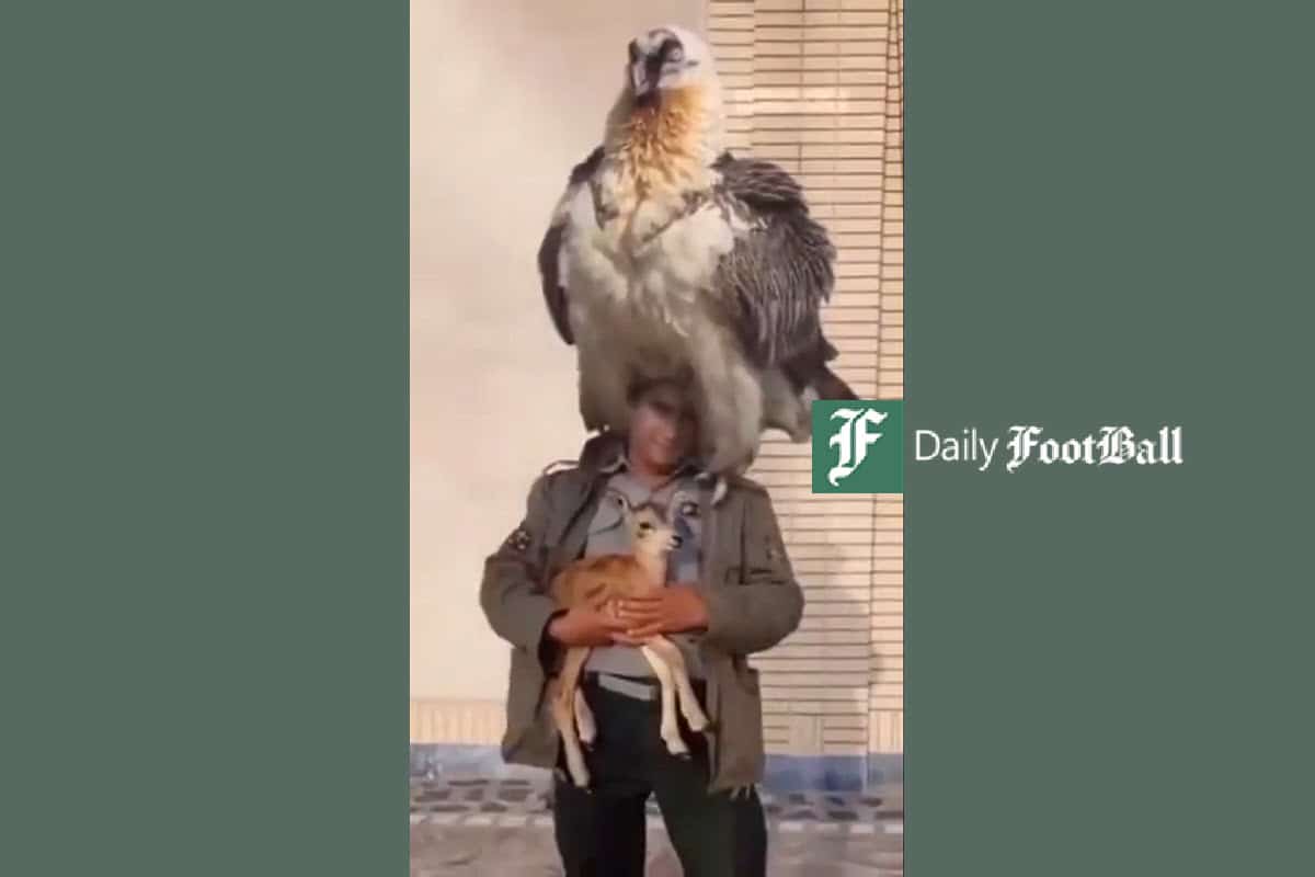 فیلم| همای سعادت غول پیکر بر روی دوش محیط بان ایرانی | دیلی فوتبال