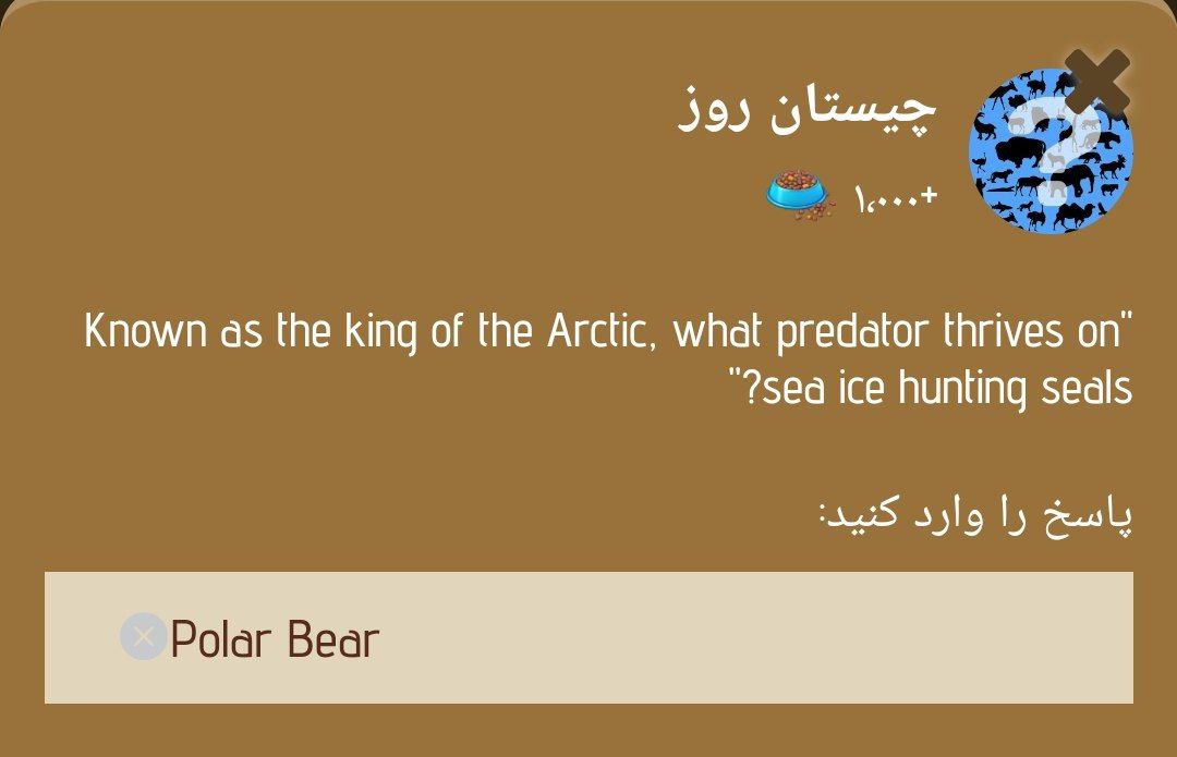 جواب چیستان زو (ZOO) امروز شنبه 24 آذر 1403 | دیلی فوتبال