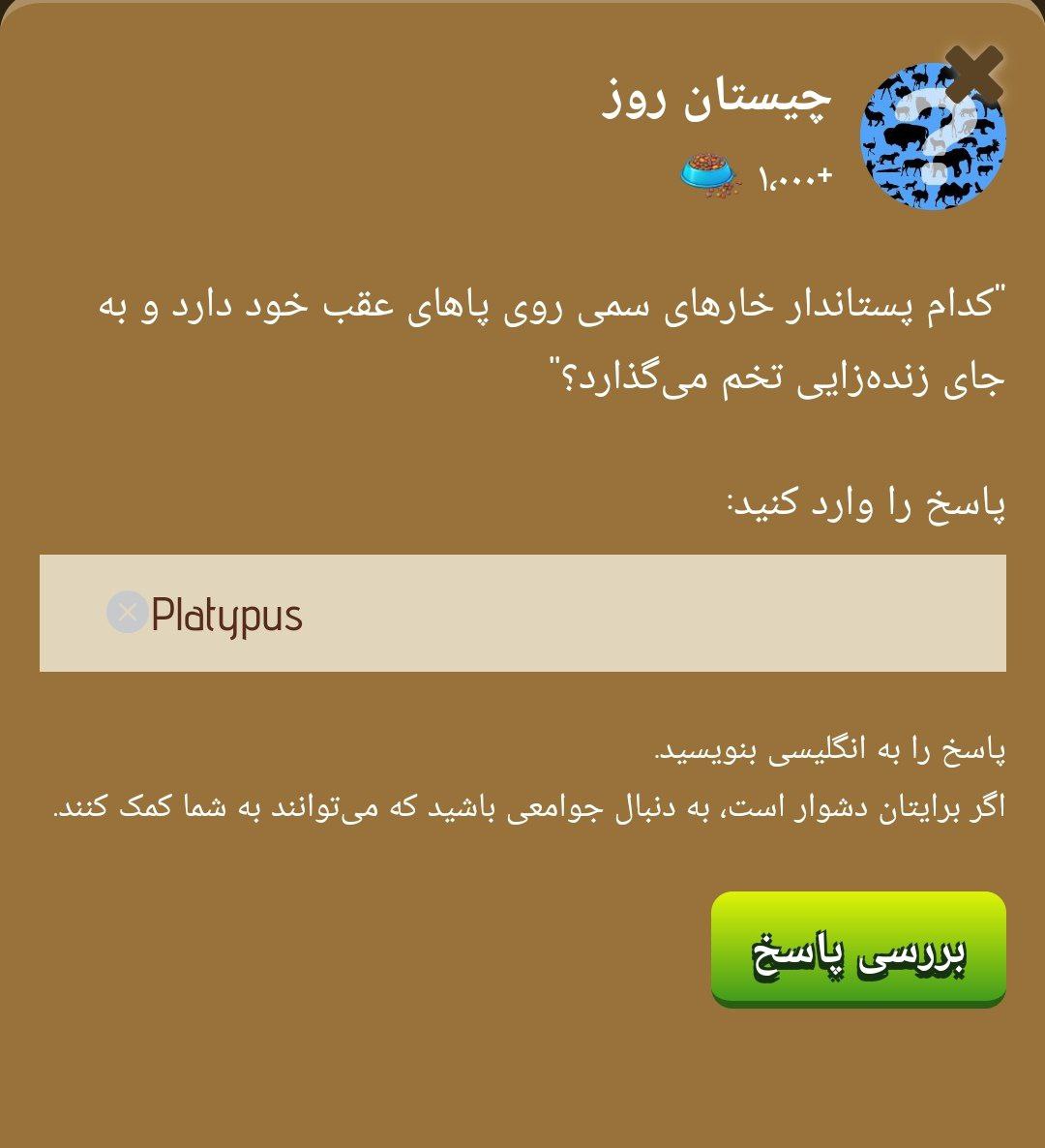 جواب چیستان زو (ZOO) امروز سه شنبه 27 آذر 1403 | دیلی فوتبال