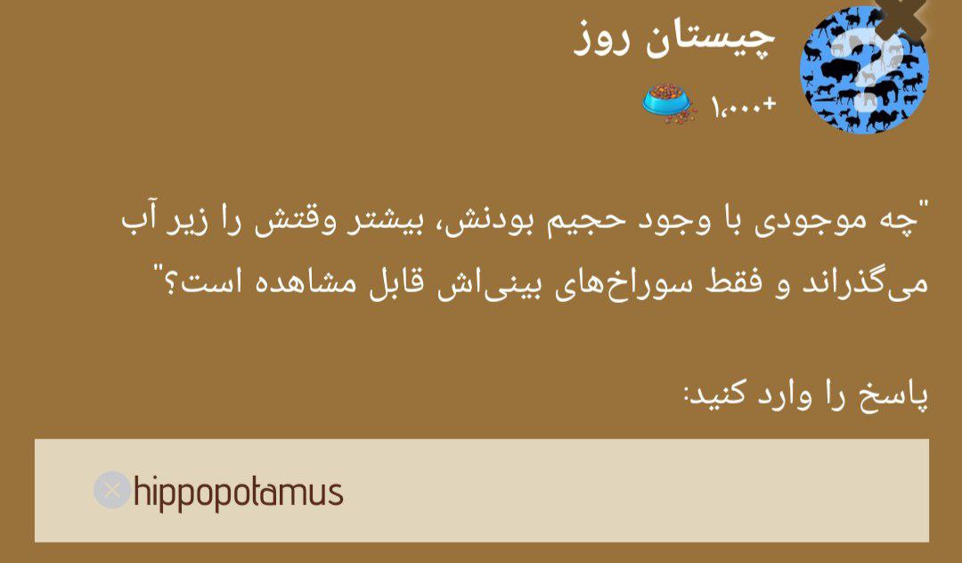 جواب چیستان زو (ZOO) امروز پنجشنبه 29 آذر 1403 | دیلی فوتبال