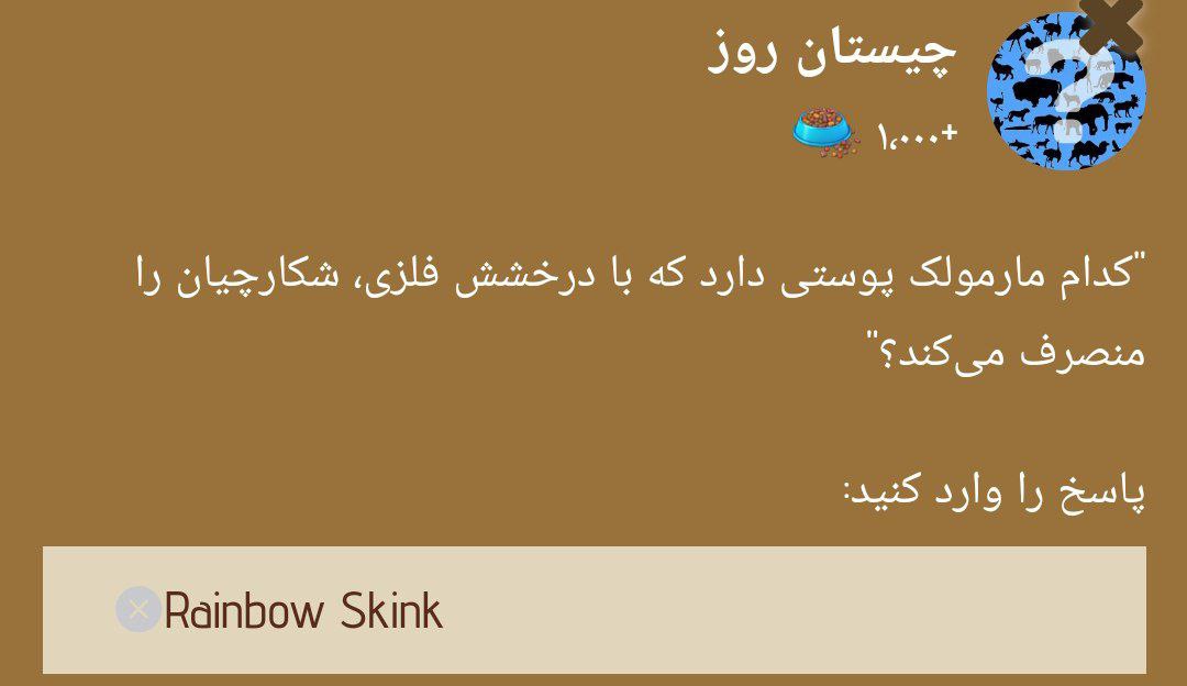 جواب چیستان زو (ZOO) امروز شنبه 1 دی 1403 | دیلی فوتبال