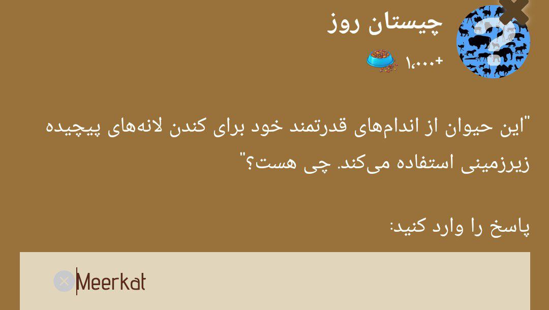 جواب چیستان زو (ZOO) امروز دوشنبه 3 دی 1403 | دیلی فوتبال