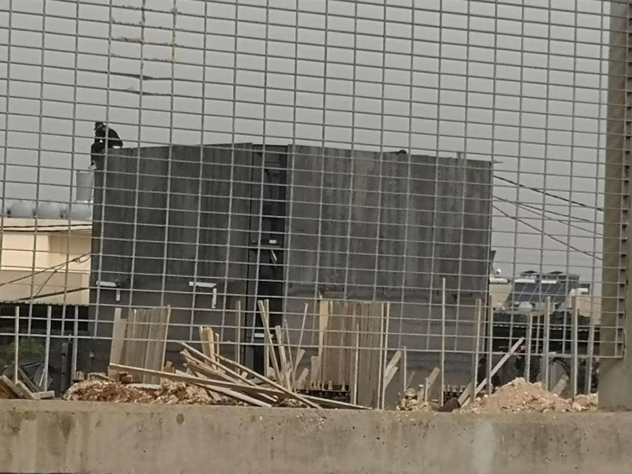 عکس| محل دفن سید حسن نصرالله | دیلی فوتبال