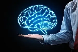 آلزایمر را دور بزنید؛ نسخه طبیعی در میوه‌فروشی‌هاست | دیلی فوتبال