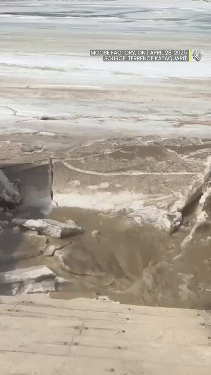 تصاویر آخرالزمانی از سونامی یخ‌ها در کانادا را ببینید | دیلی فوتبال