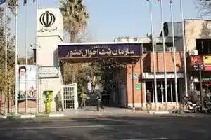 ثبت حدود ۹۸۰ هزار واقعه ولادت در سال ۱۴۰۳ | دیلی فوتبال