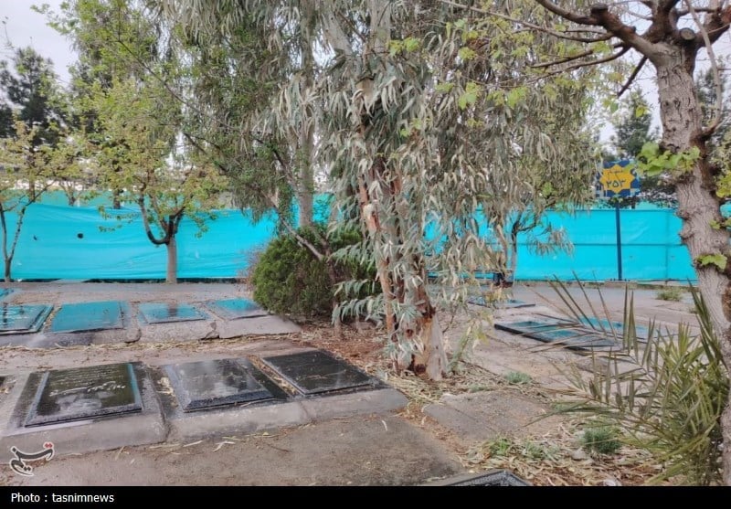 سیر تا پیاز کشف گنج با شکوه در قطعه ۲۵۲ بهشت زهرا | دیلی فوتبال