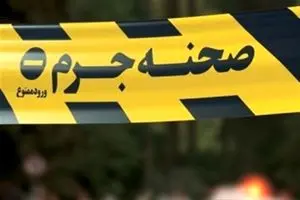 ماجرای عجیب قتل یک زن میانسال ماجرای عجیب قتل یک زن میانسال | دیلی فوتبال