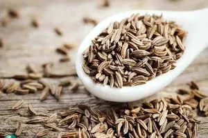 گیاهی با قدرت درمانی فوق‌العاده؛ خواص ضدسرطان این دارو تأیید شد | دیلی فوتبال