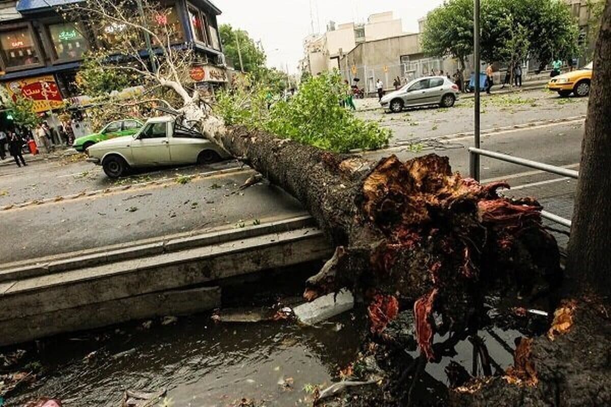 خبر فوری؛ هشدار جدی طوفان در تهران | دیلی فوتبال