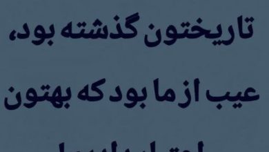 عکس| تیکه سنگین علی کریمی به رضا پهلوی | دیلی فوتبال